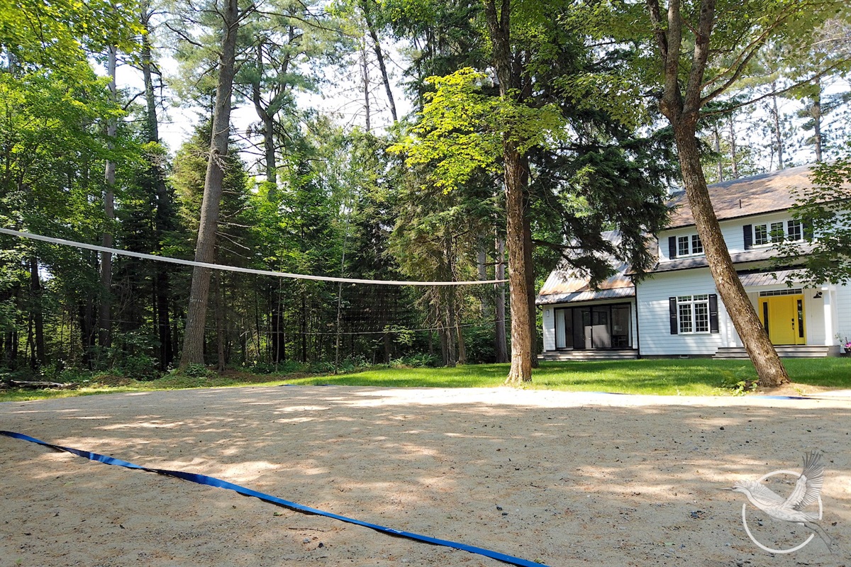 Volleyball court