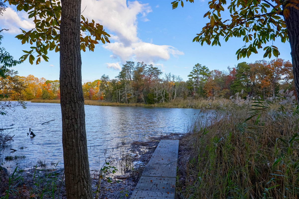 Creek along the back of the property