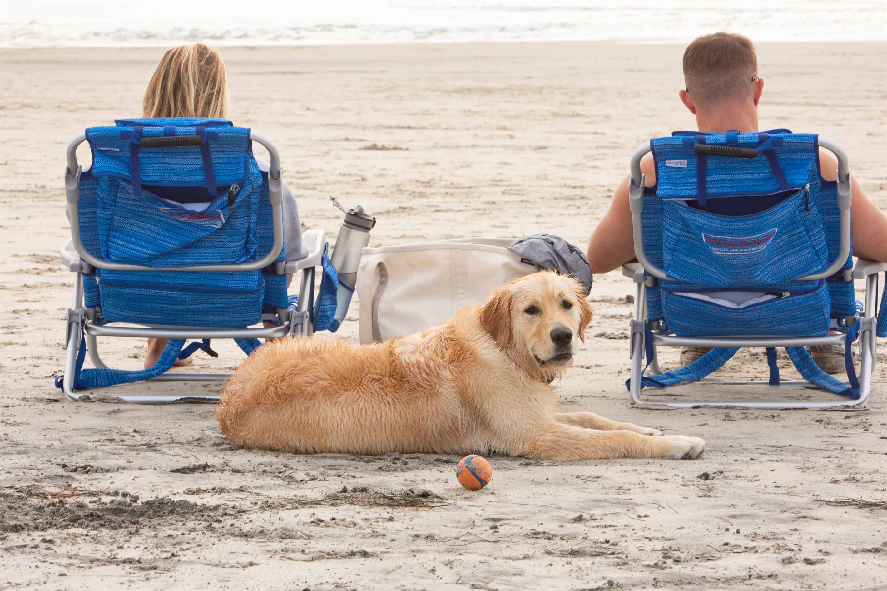 Where your furry friend can run off leash (seasonal)