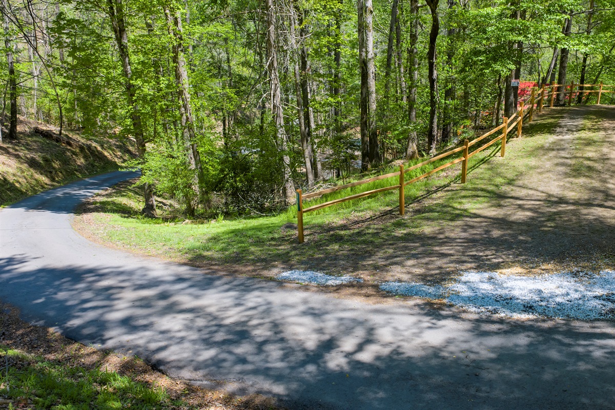 Turn in from Laurel Cove Rd and follow the driveway into your private, wooded retreat.