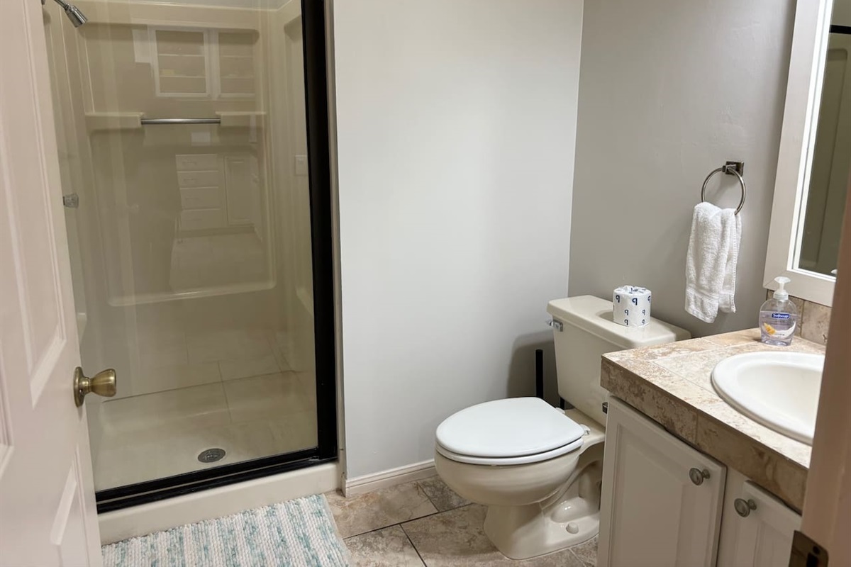 Hall Bath with Walk-in Shower