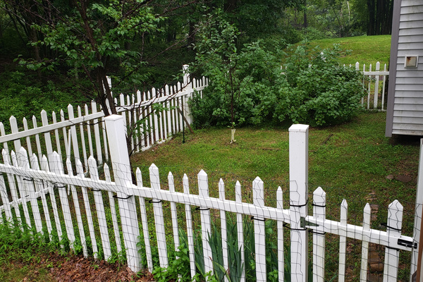 Fenced yard for furbabies to roam safely.