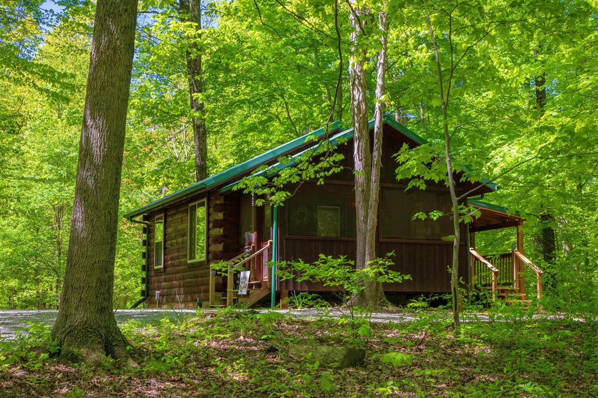 The Woods cabin is surrounded by trees.
