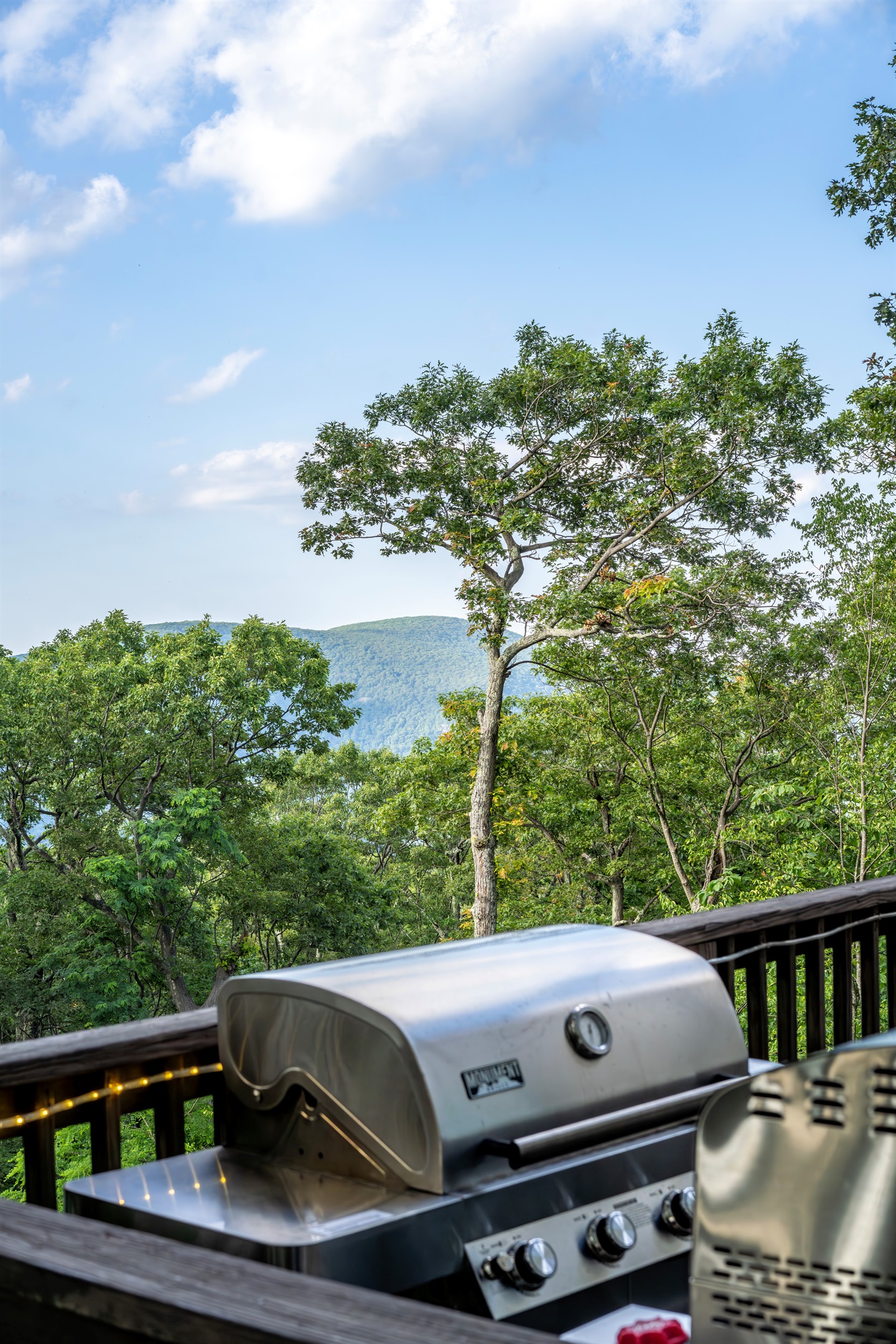 Grill up mountain meals on the full-size stainless BBQ while enjoying long-range Blue Ridge views—your sunset chef’s station awaits