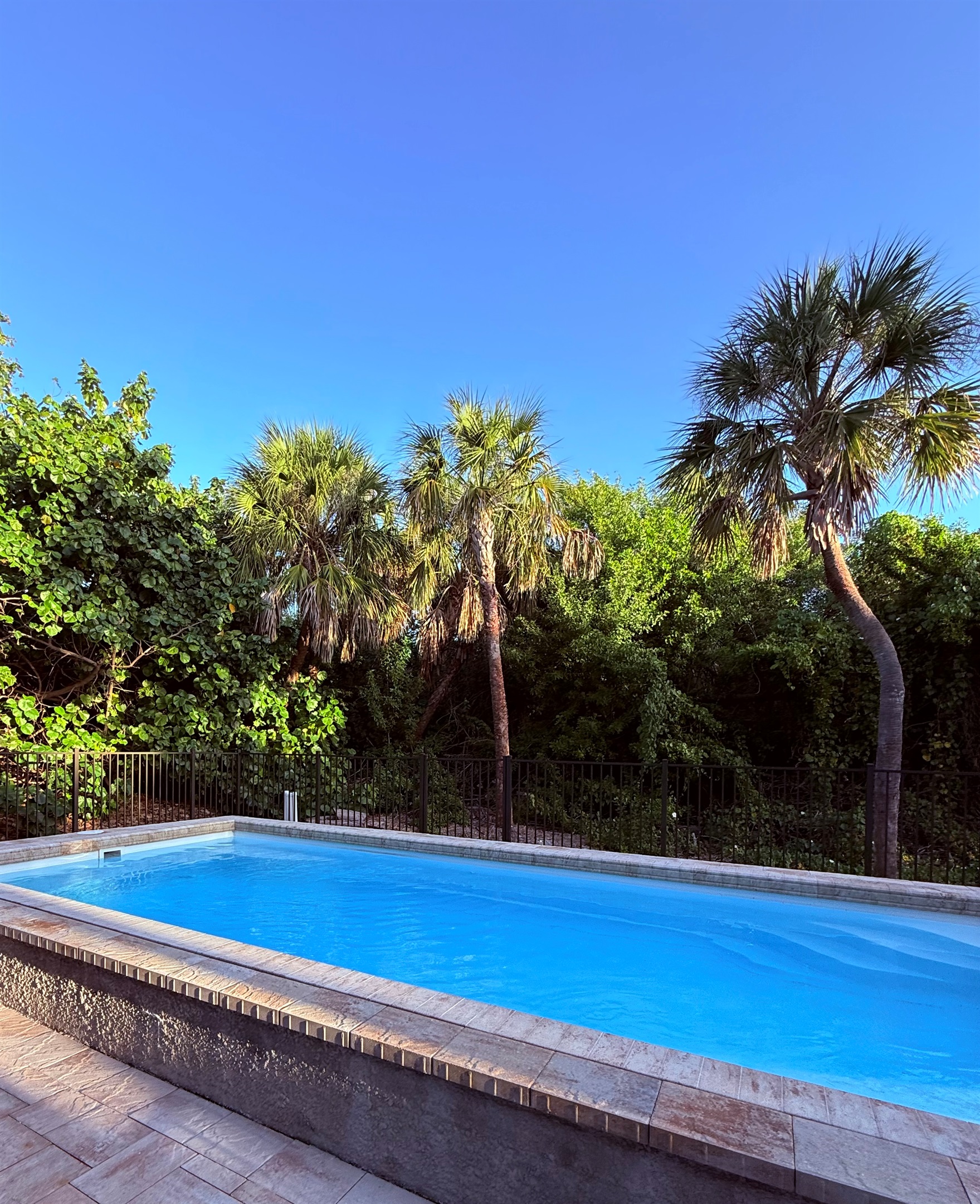 View from your private, heated pool-blue skies and lush green tropical plants