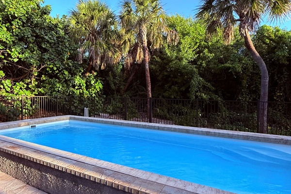 View from your private, heated pool-blue skies and lush green tropical plants