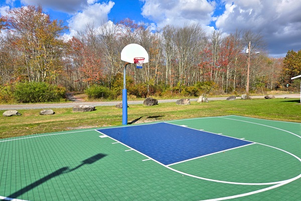 Basketball Court - Community amenity - Serhii Chalet