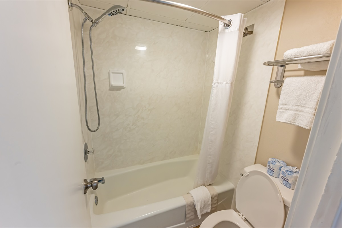 Amazing Private Bathroom