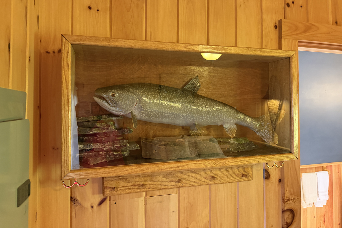 Awesome lake decor, please don't feed!