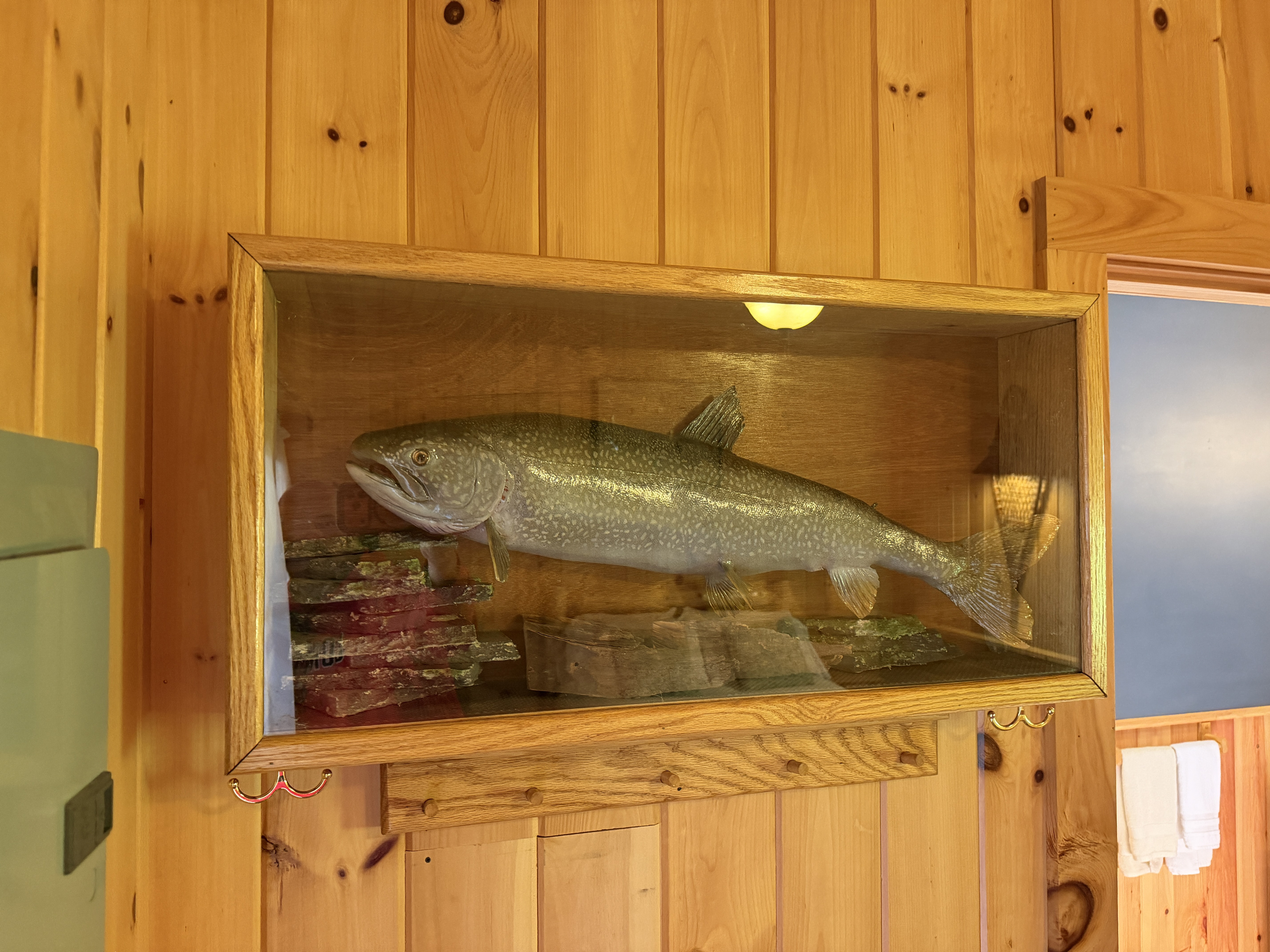 Awesome lake decor, please don't feed!