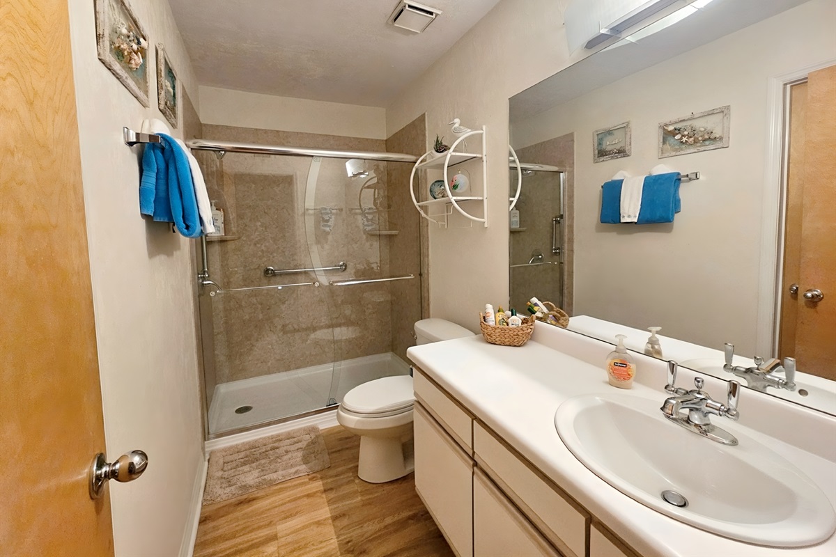 Bathroom with Newly Renovated Shower