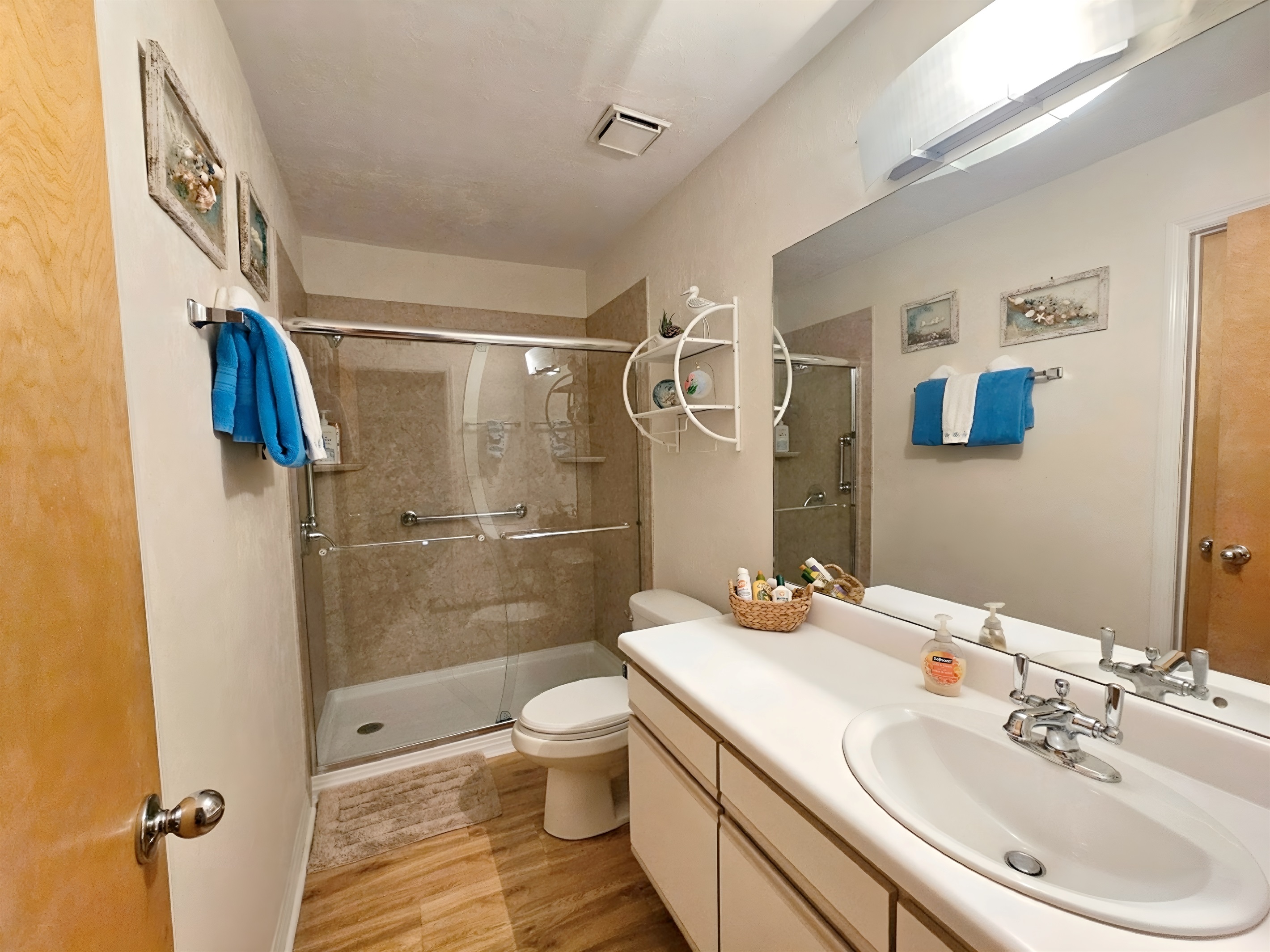 Bathroom with Newly Renovated Shower