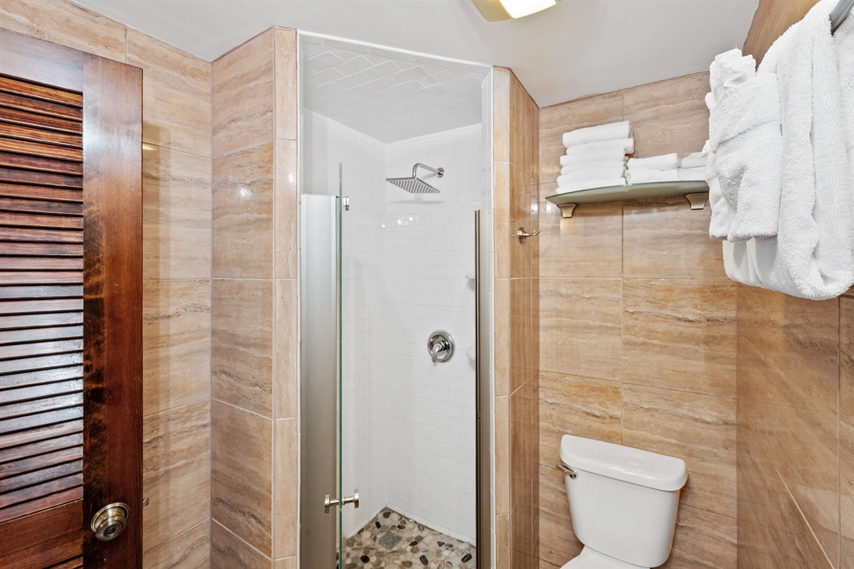 Upstairs bathroom with shower, toilet and vanity