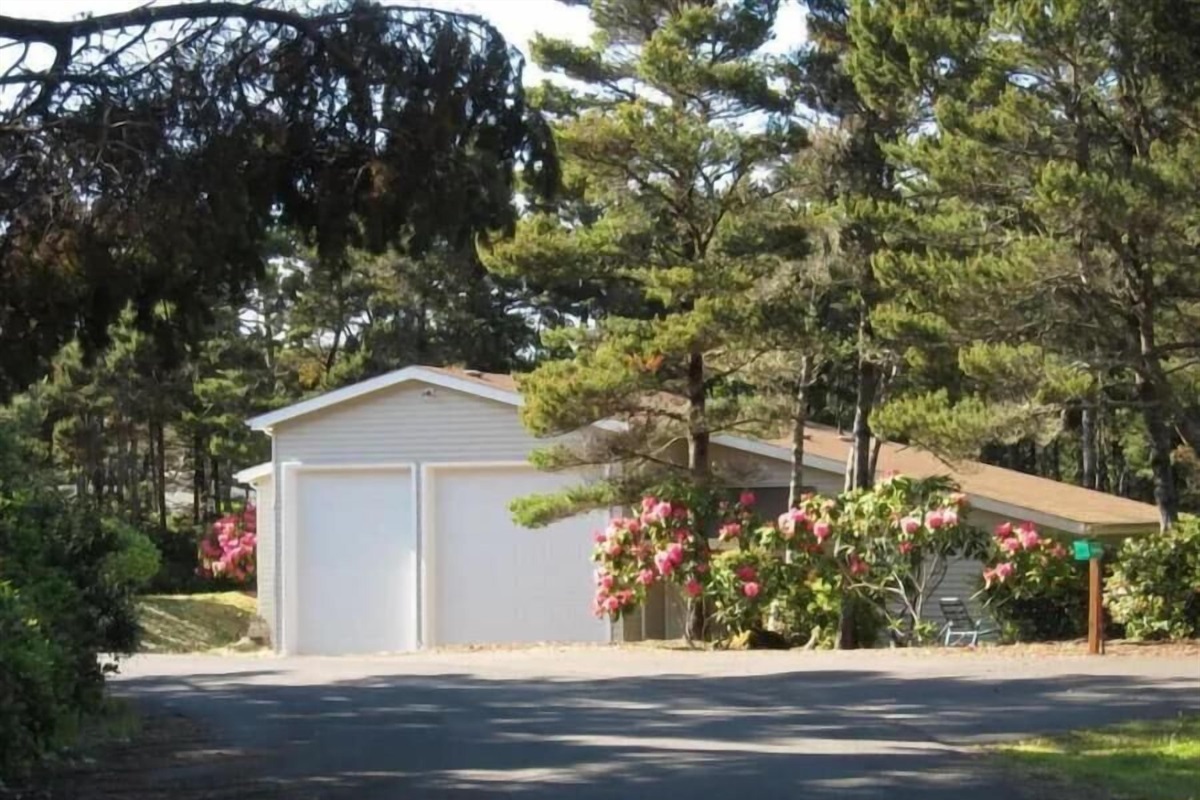Studio hidden behind the Rhododendrons
