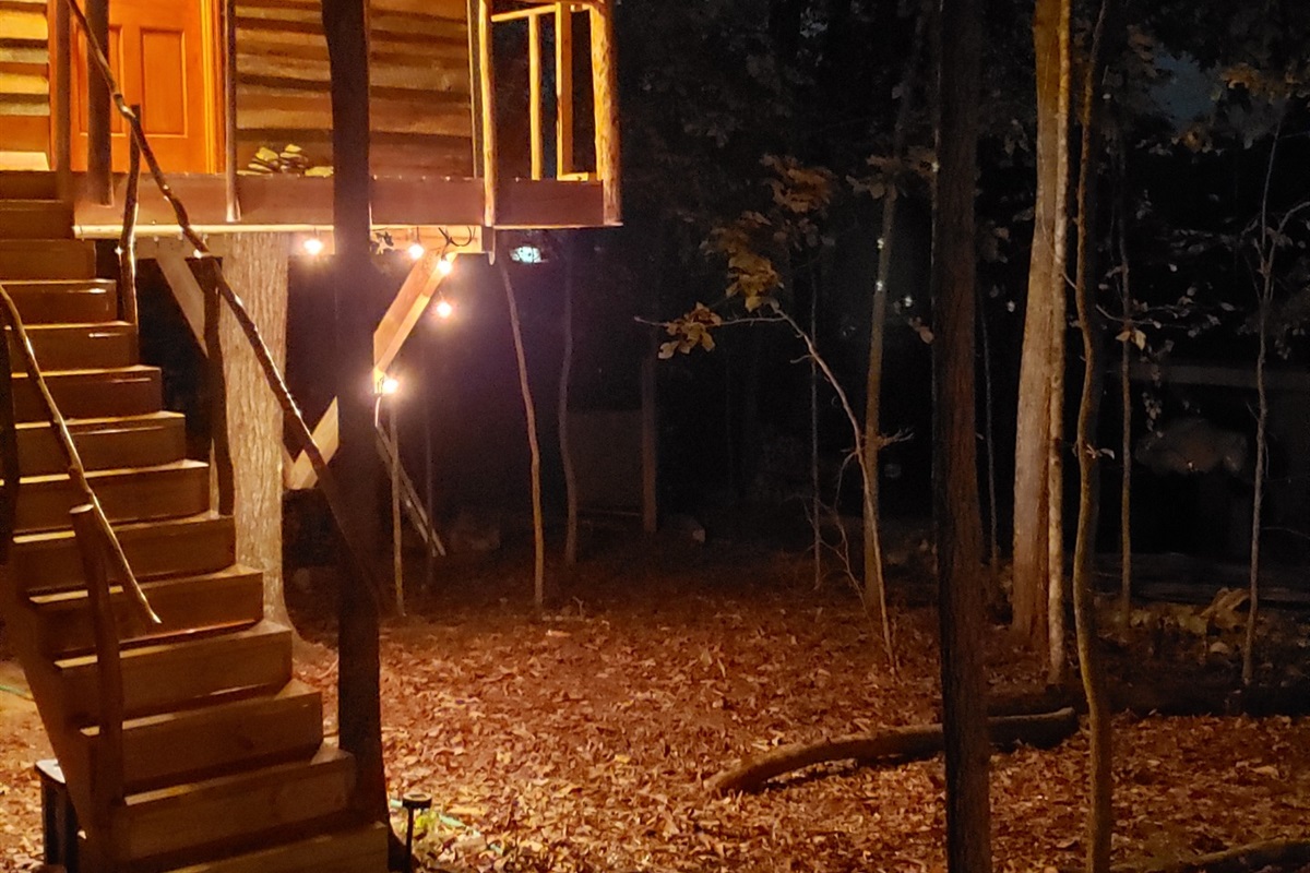2 room treehouse shower on a full moon night