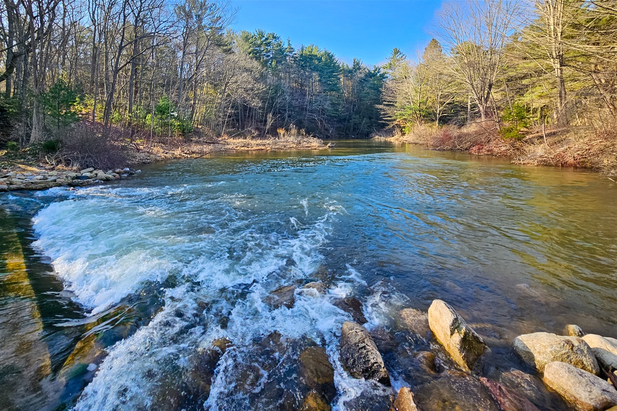 Stony Creek