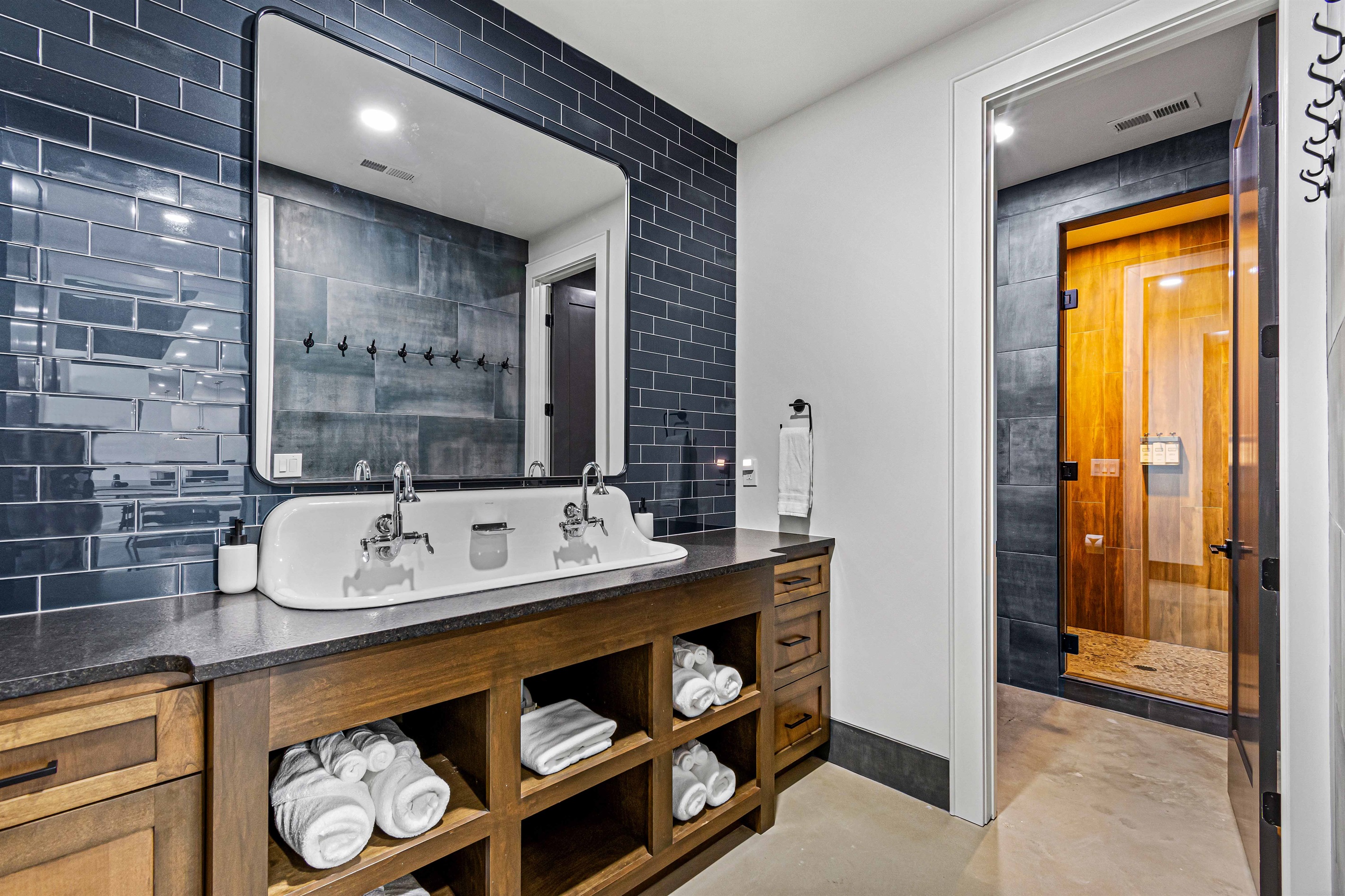 Basement Bathroom and Shower