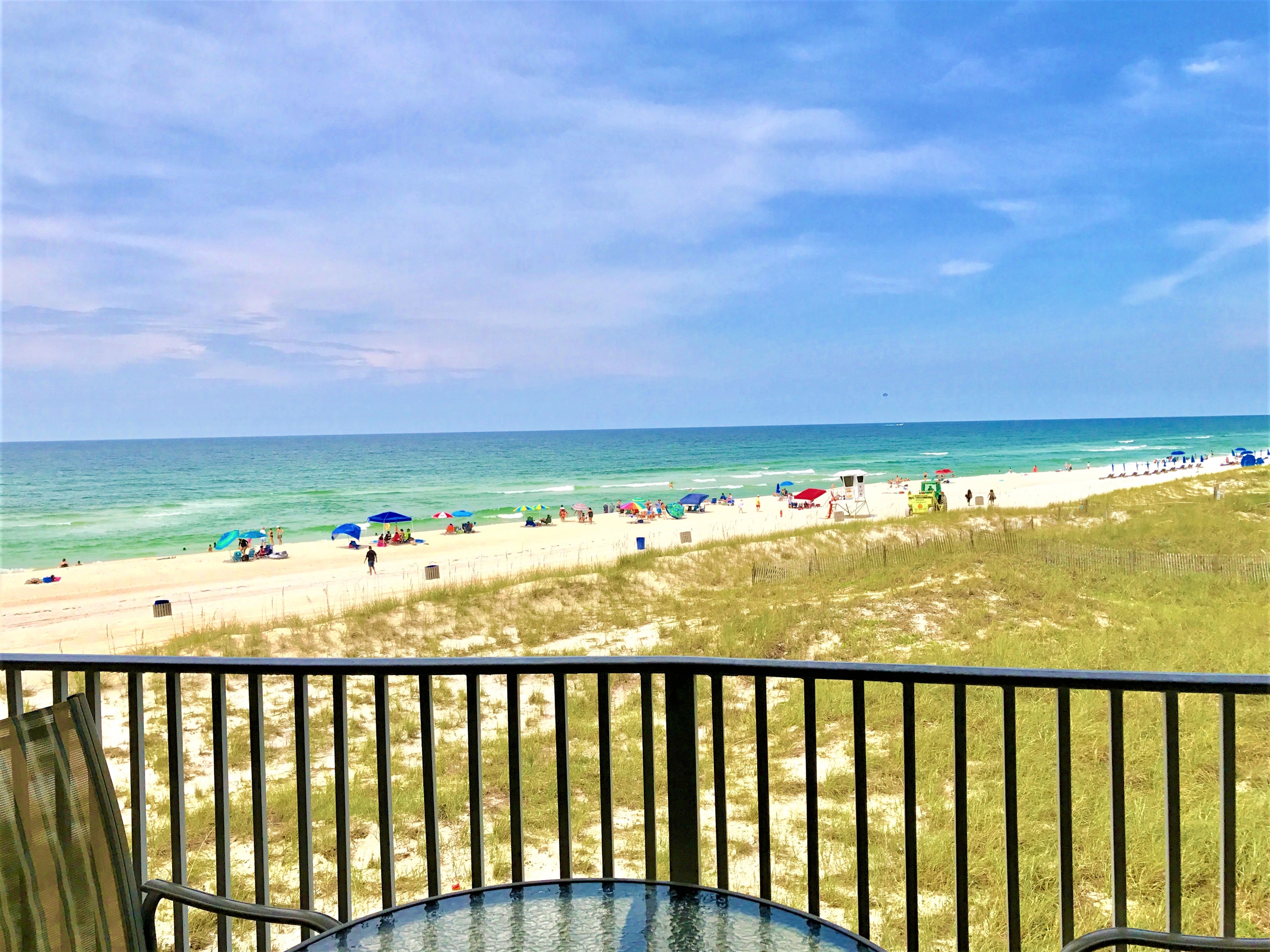 The view!