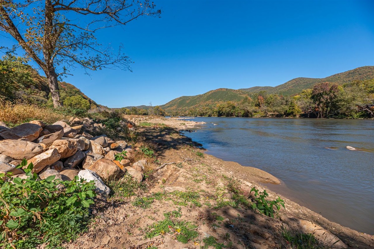 There is a path made to get down to the river from this tree. 