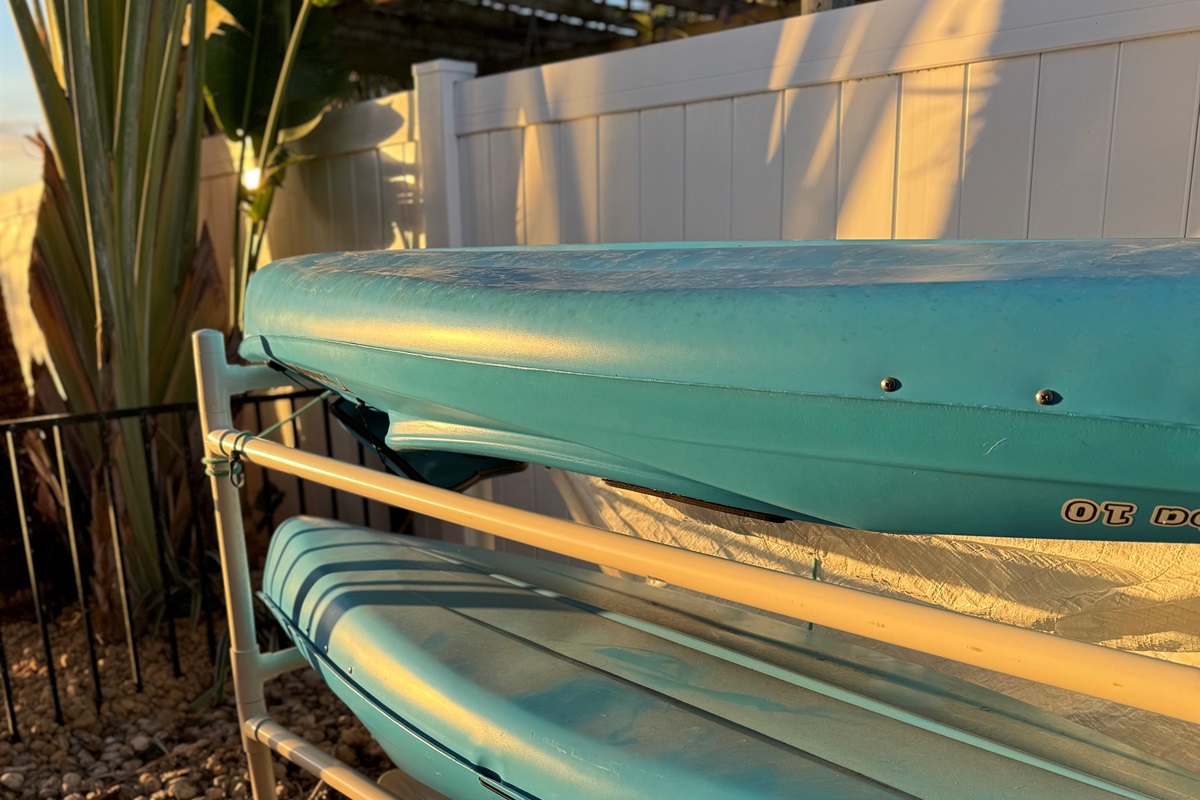 Kayaks and paddle boards for your use