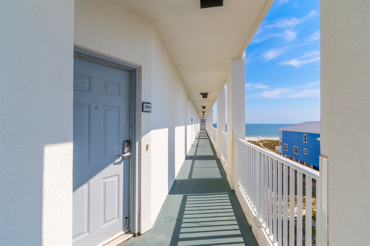 Palm Beach D44 entry