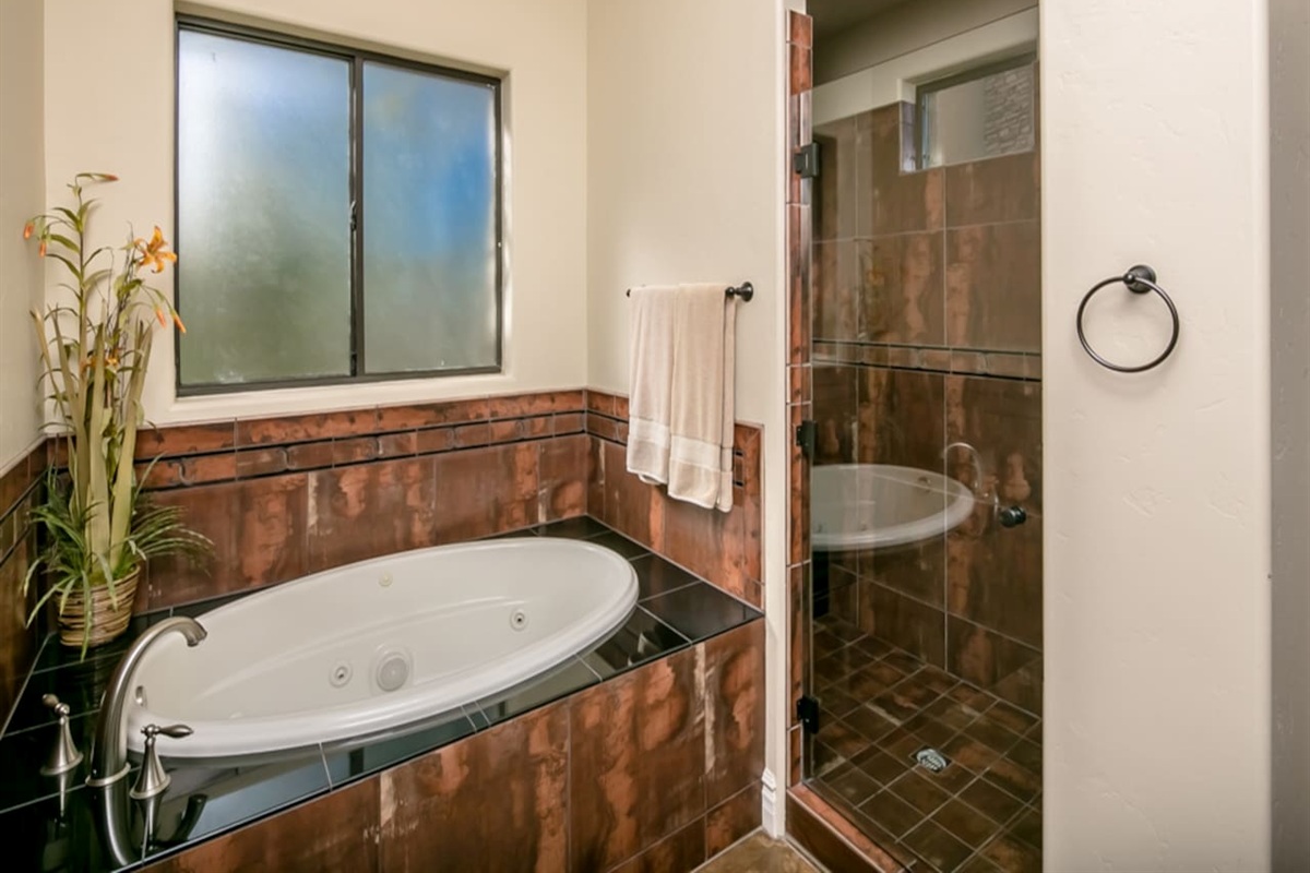 Master Bathroom Tub and Shower