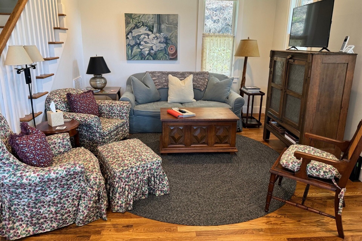 Comfortable and stylish vintage furniture with Roku TV... Bring your passwords 