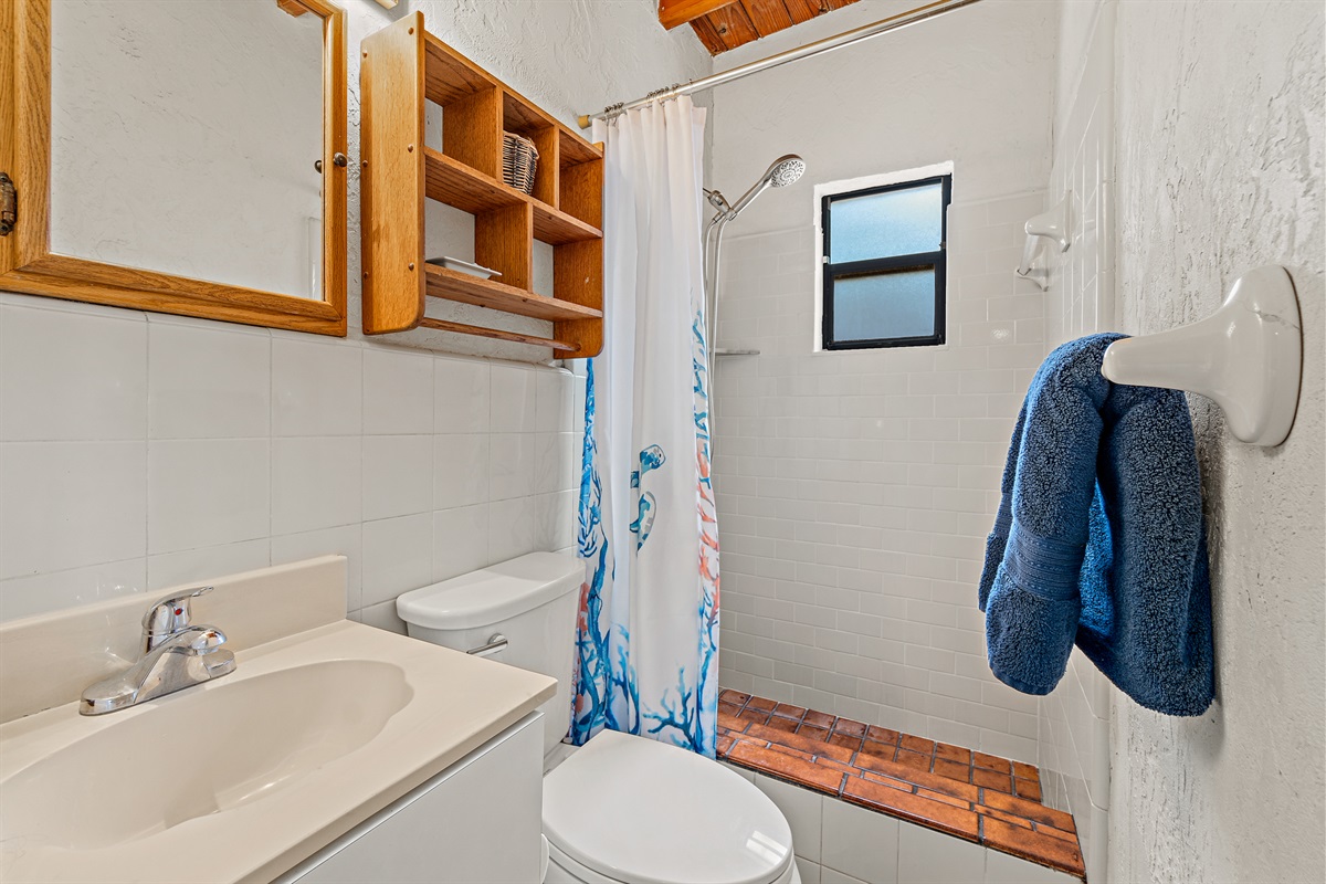 Full Bath with walk-in shower