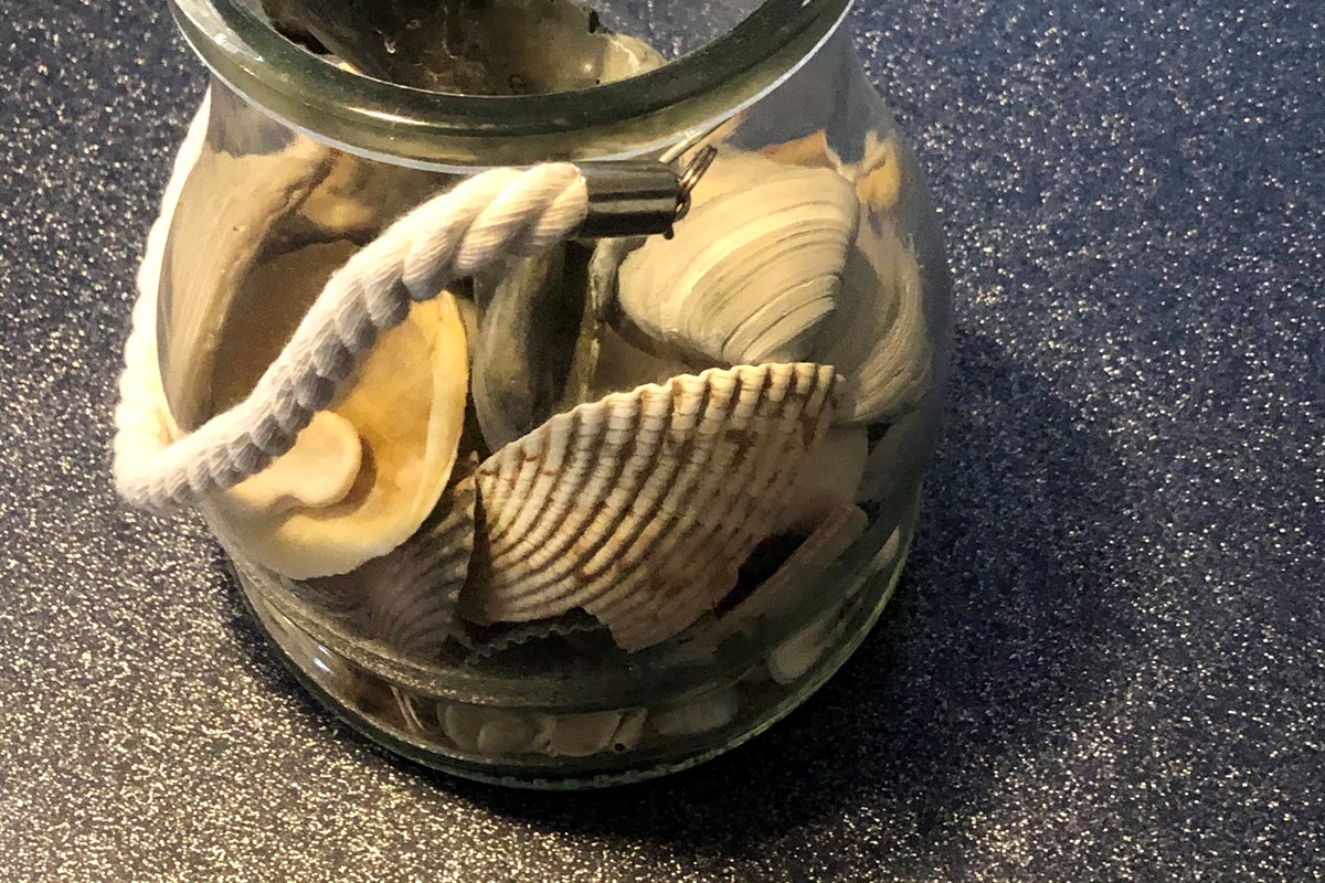 Admiral's Watch OBX — OBX seashells