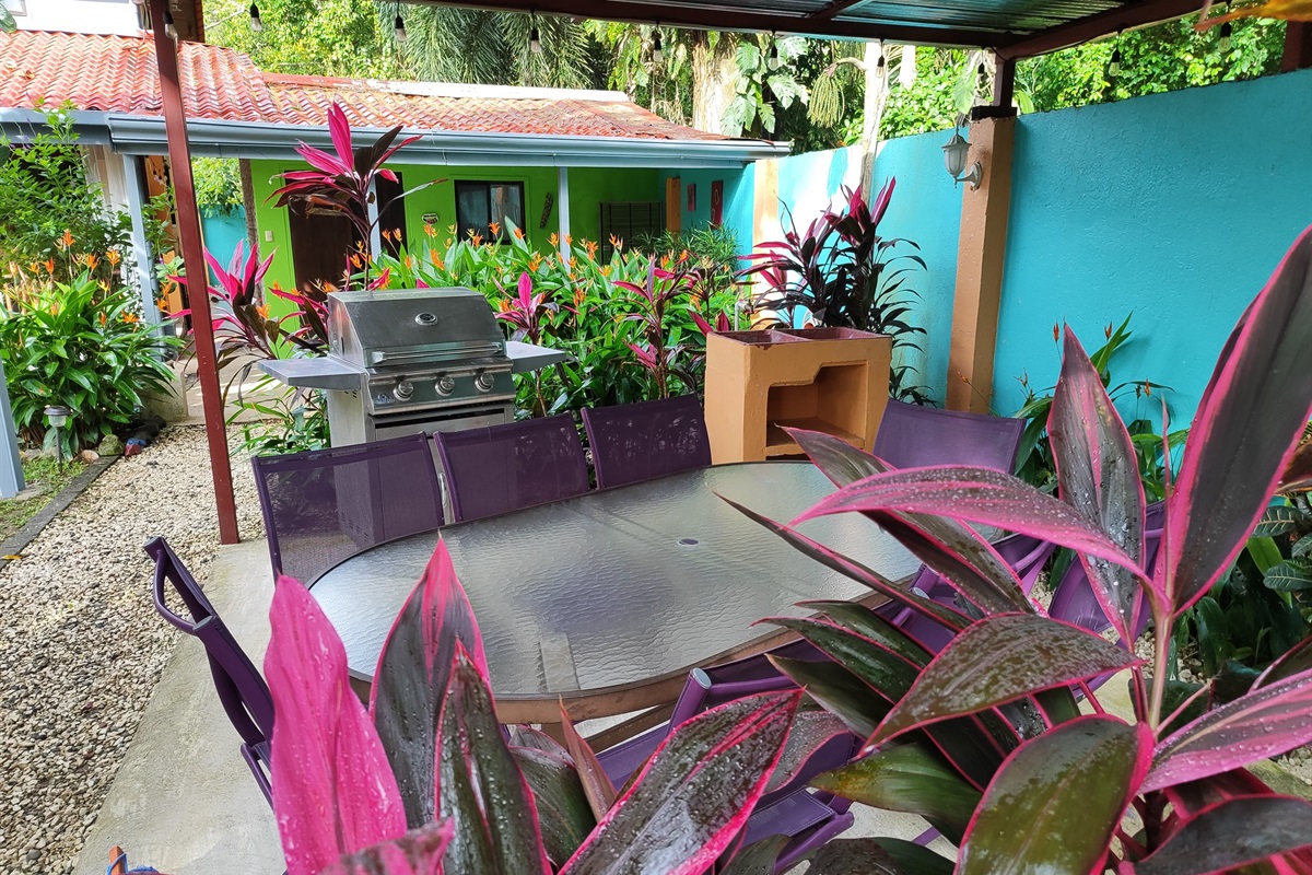 BBQ and outdoor Kitchen