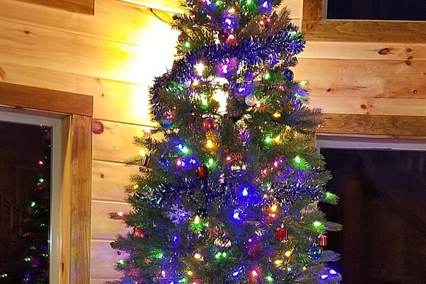 ready for festive season