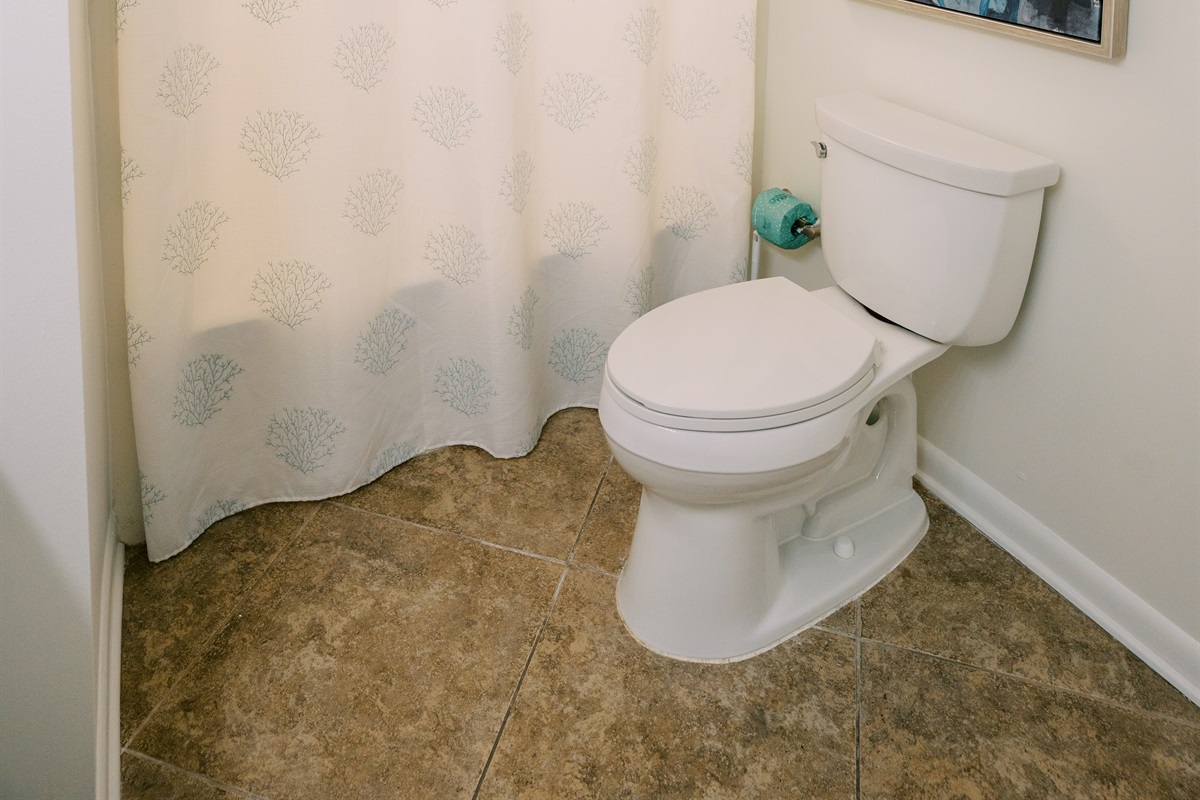 Tub/shower combo - perfect for families!