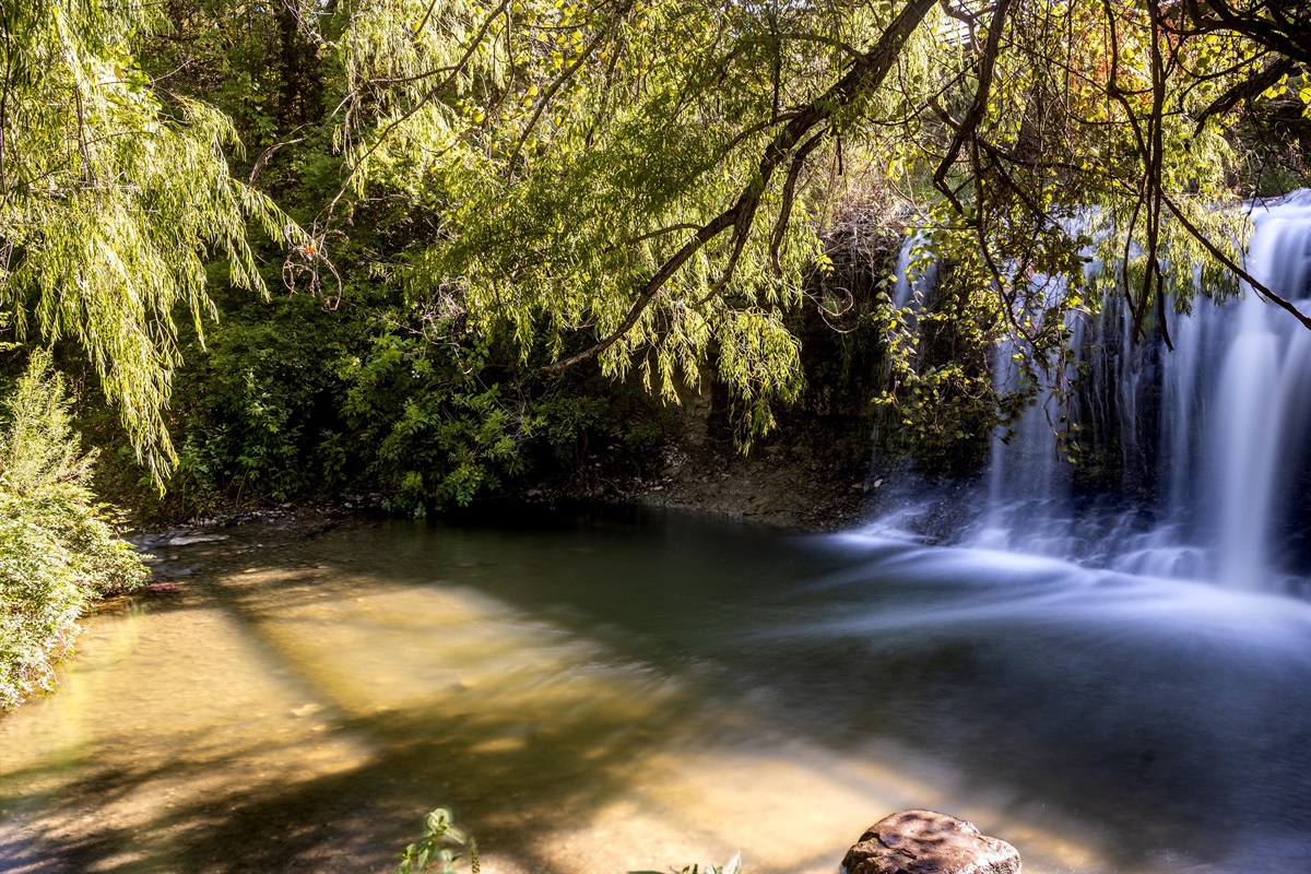 "Hidden Gem Within Walking Distance" Take a leisurely walk to a beautiful waterfall on the nearby Brushy Creek trail. Perfect for peaceful moments and breathtaking photo ops!