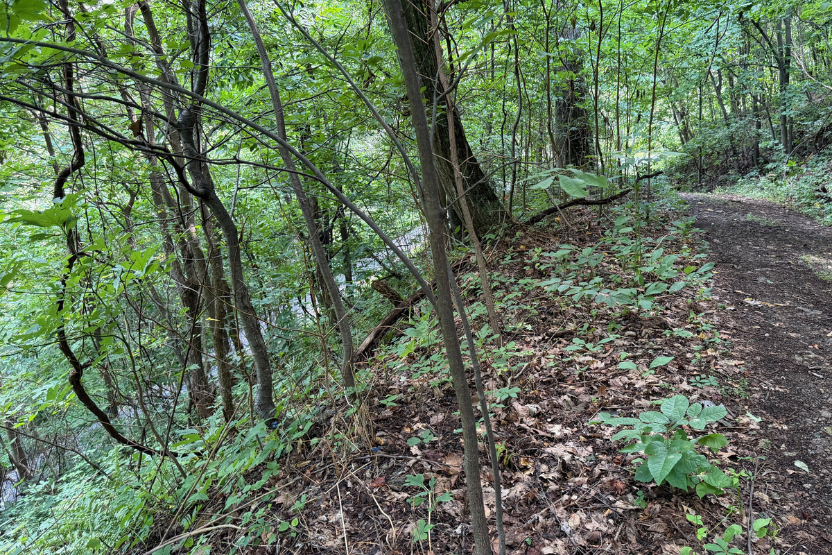 Numerous trails are on the 26 acre property, which you are free to use. We do have many wild animals to enjoy watching, but do take care and be safe. Read through the Guest Welcome Book about safety before you venture off.