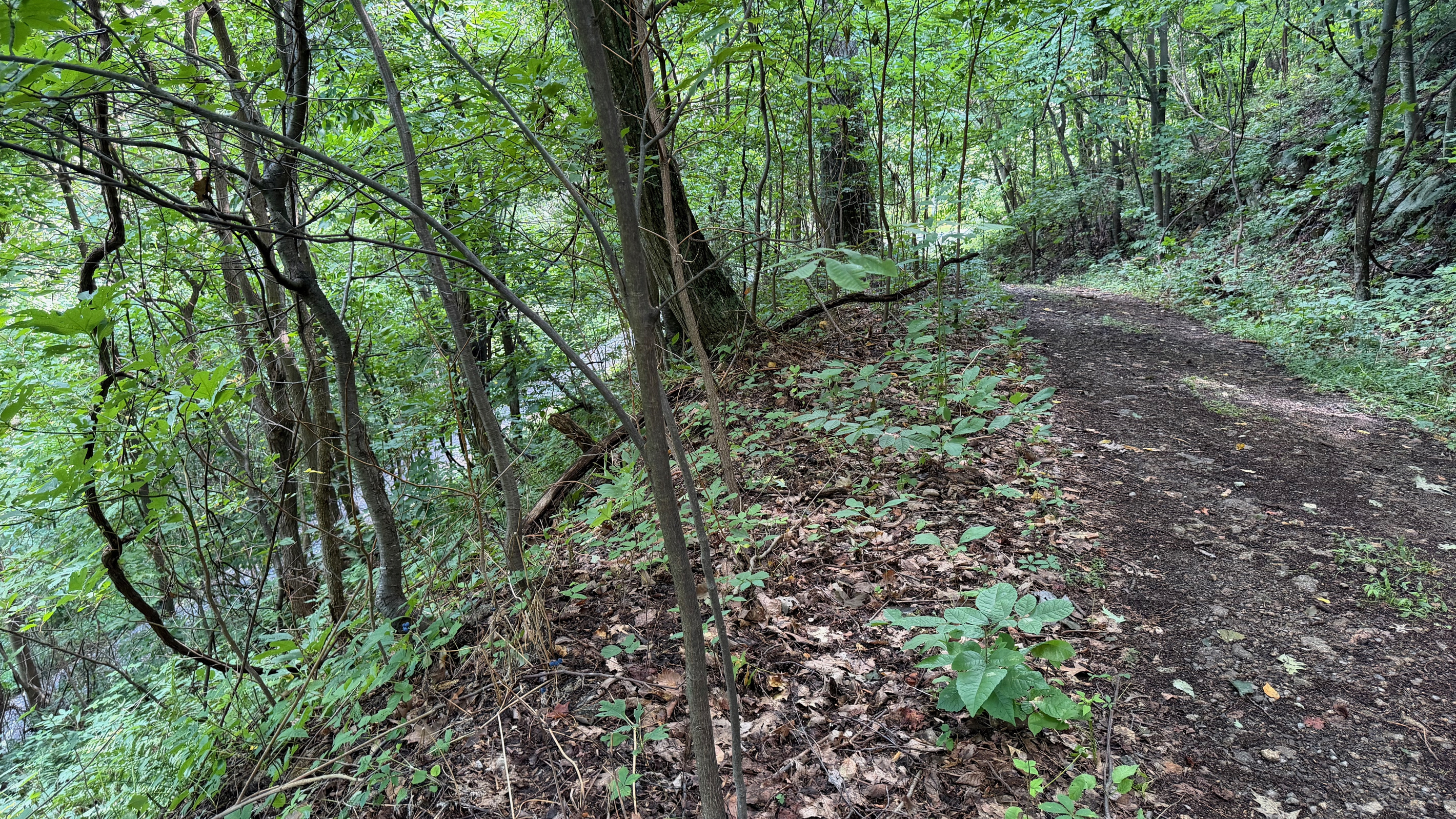 Numerous trails are on the 26 acre property, which you are free to use. We do have many wild animals to enjoy watching, but do take care and be safe. Read through the Guest Welcome Book about safety before you venture off.