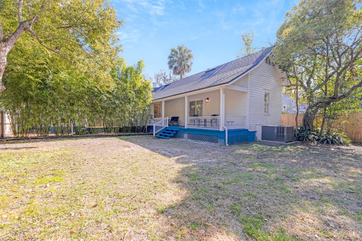 Backyard