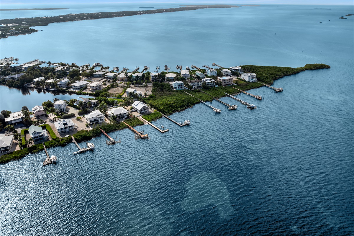 Aerial view of neighborhood