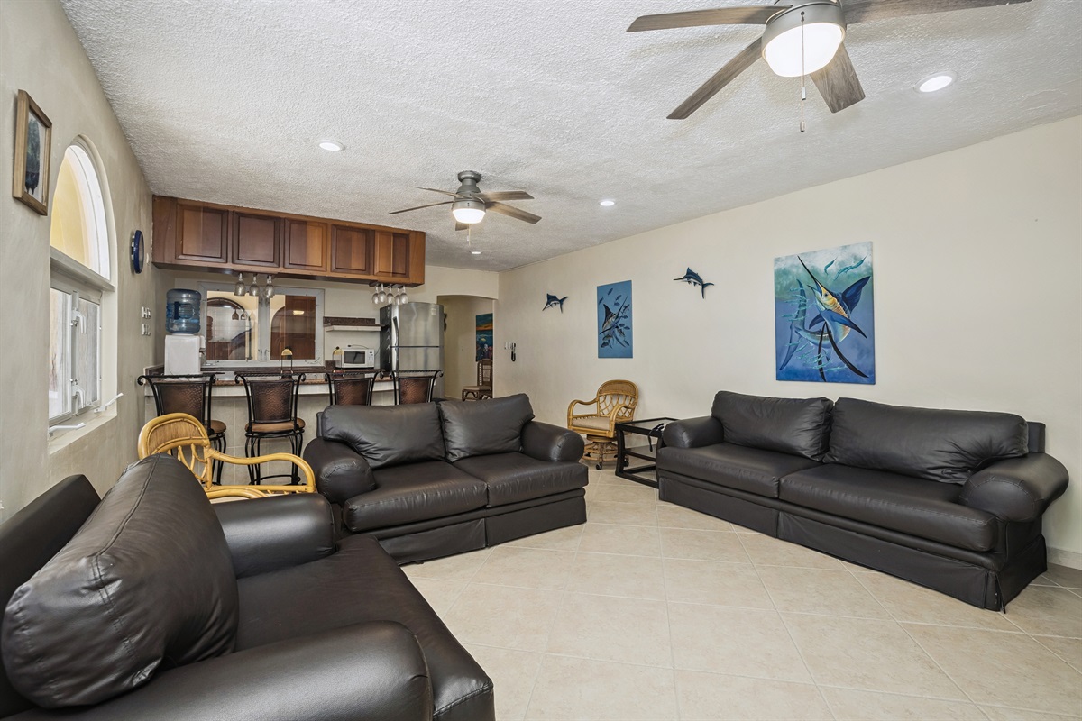 Basement Entertainment Room