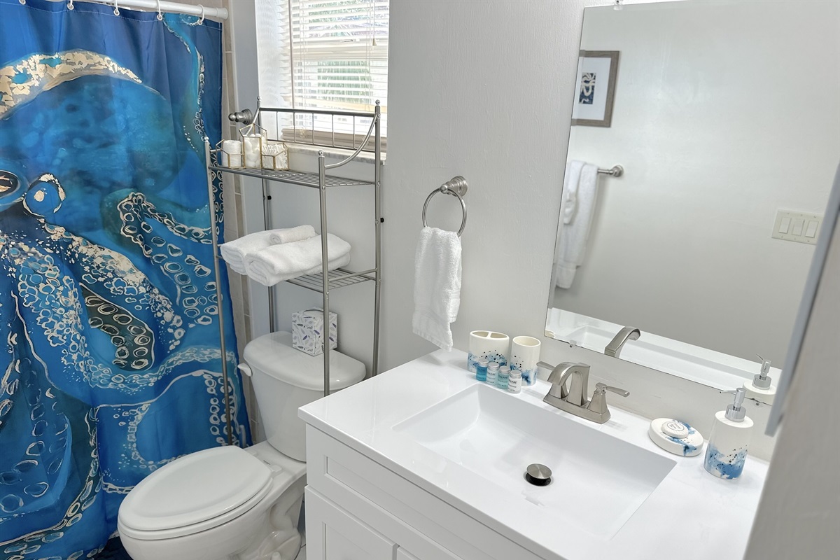 Newly renovated bathroom with filter water shower