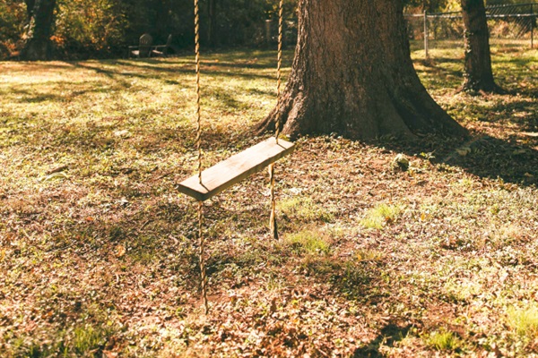 Pecan Belle's tree swing — simple joy for kids and adults alike.