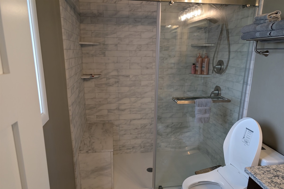 Master Bathroom with step free access to shower