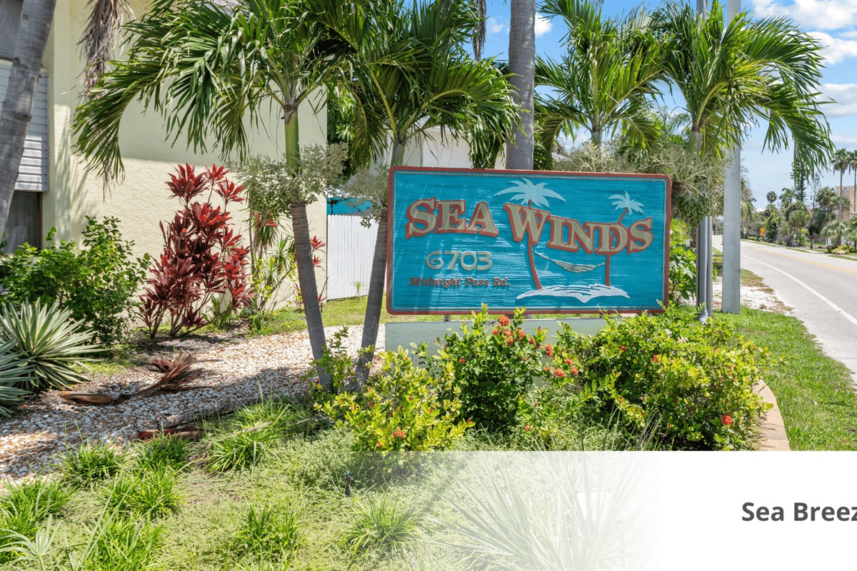 Sea Winds