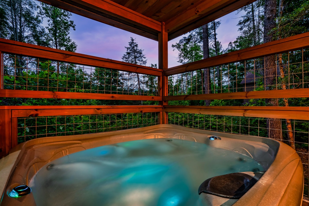 Water Bear is surrounded by woods. Al fresco hot tub relaxation. Plenty of wildlife also frequent the area.