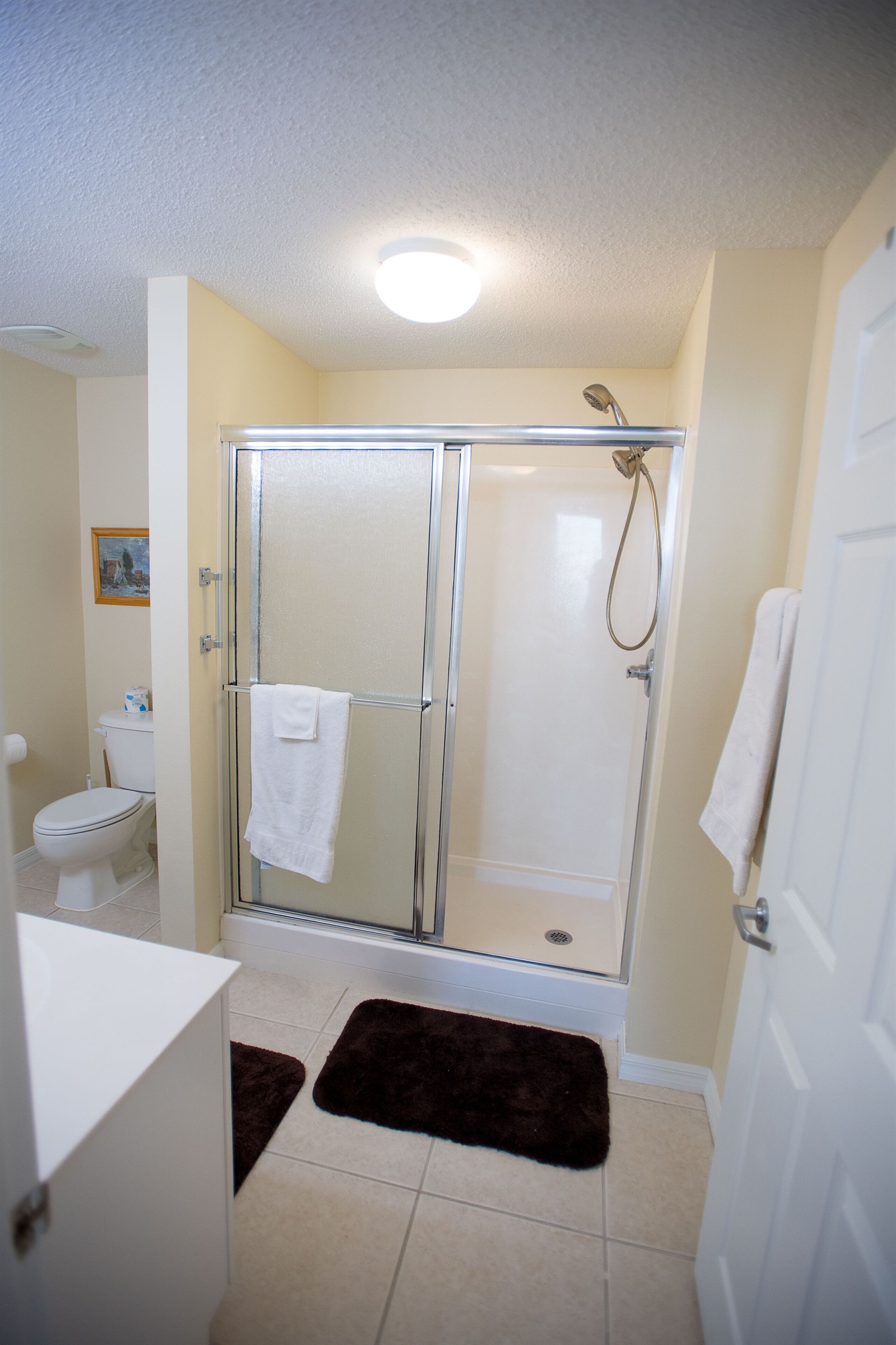 Master Bathroom w/walk-in shower