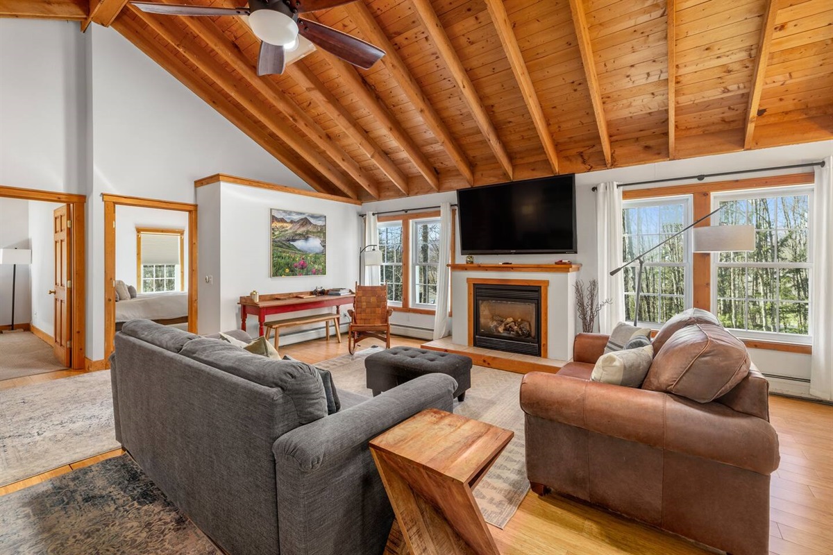 Large TV with Hulu Live TV, ESPN +, and Disney +