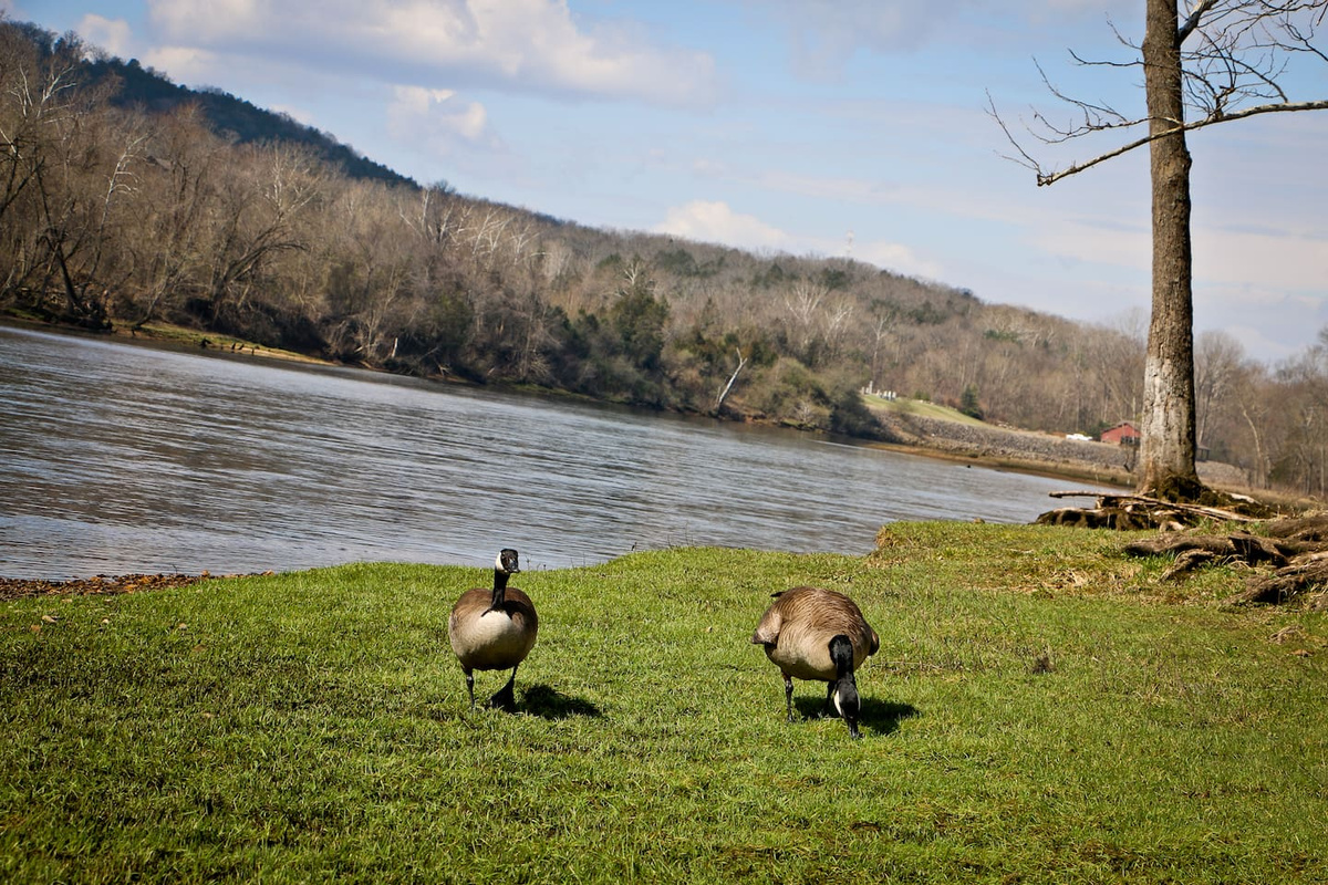 A Short Walk To Lake Taneycomo