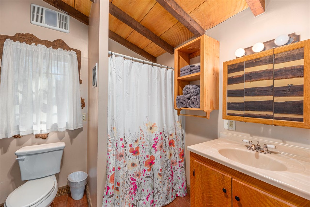 The bathroom has the basic setup