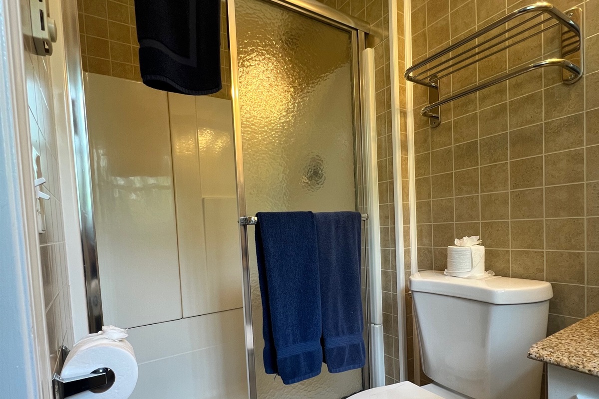 Master Bathroom Shower