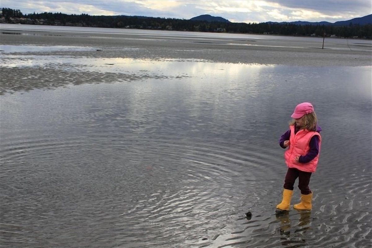 Fun beach-combing year round - bring your rubber boots in winter!