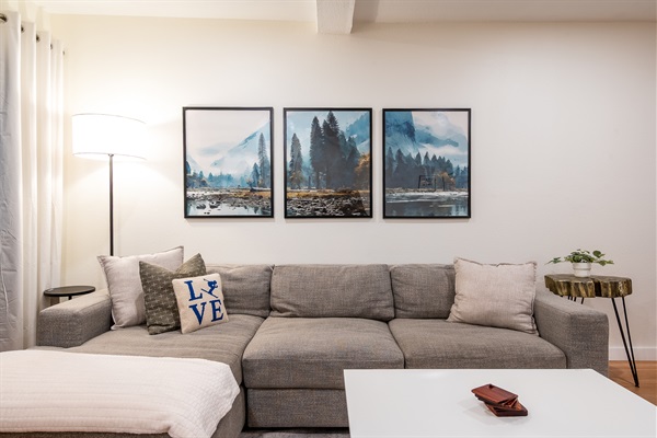 Living room couch